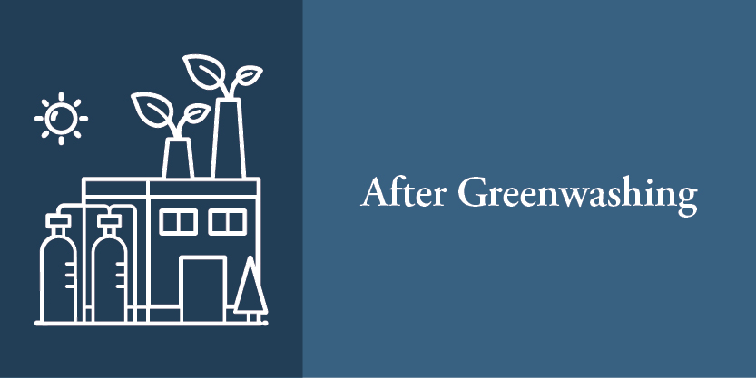 After Greenwashing
