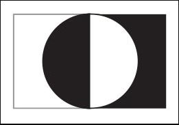 black and white circle demonstrating contrast