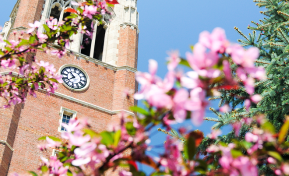 Image of clock tower on campus