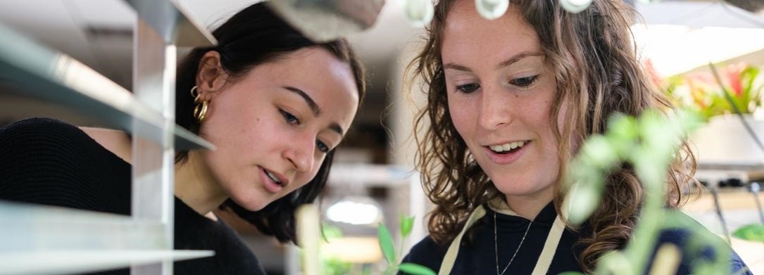 Students looking a a plant in a research lab