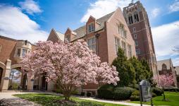 Photo of Saint Ignatius Hall on JCU's campus and pink blooming tree