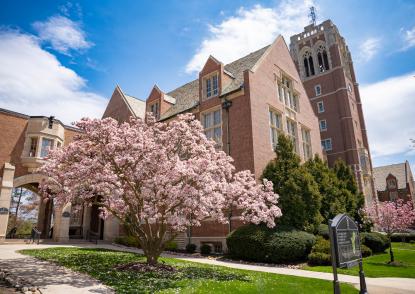 Photo of Saint Ignatius Hall on JCU's campus and pink blooming tree